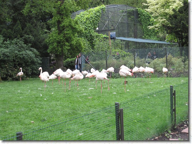 Klik hier voor de originele foto